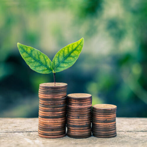 seedling-plant-are-growing-money-coin-tower-with-blurred-bokeh-background-business-finance-concept https://www.suratam.com/wp-content/uploads/2022/09/seedling-plant-are-growing-money-coin-tower-with-blurred-bokeh-background-business-finance-concept-e1663704015527.jpg